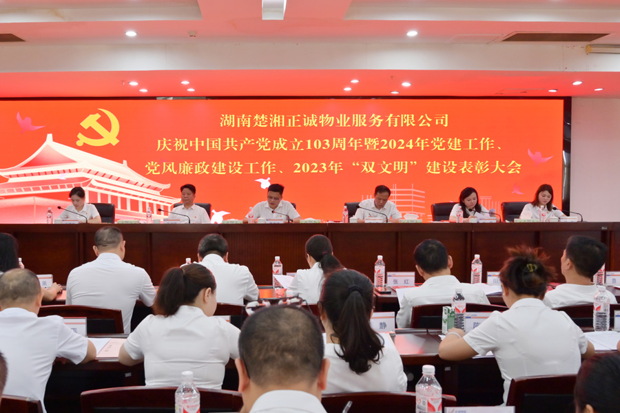 黨建引領(lǐng)風帆勁  砥礪前行闊步走